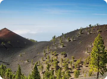 la palma